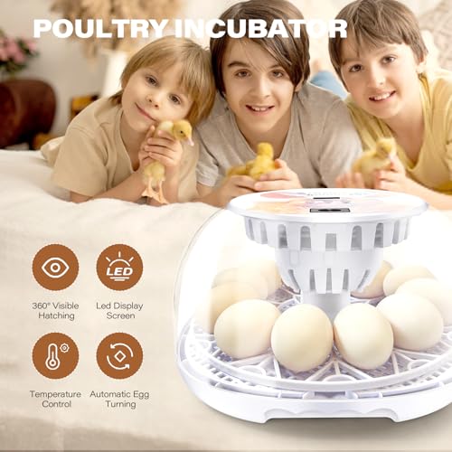 12 Egg Incubators for Hatching Eggs | with Auto Egg Turner, Temp & Humidity Control | 360° Viewing for Chicken, Duck, Quail Eggs | Ideal for Farm, School, Home - Image 5