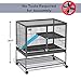 MidWest Homes for Pets Ferret Nation Single Unit Small Animal Cage, 2 Tiers, Includes Pan, Shelf, Ramp & Cover, for Ferrets & Other Small Animals