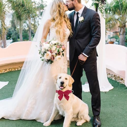 Tie KTWSUEF Hundehalsband Fliege Samtige, Fliege für Hunde, Komfortable Haltbarkeit Halsband Hund, Abnehmbares und verstellbares Fliege Hunde Für Hochzeiten, Geburtstage, Festliche
