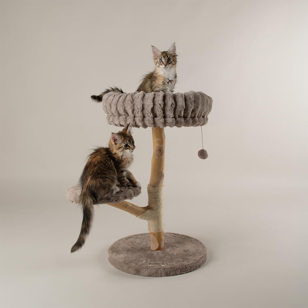 Scruffs - Cat Tree - Small - Wood/Sisal/Faux Fur