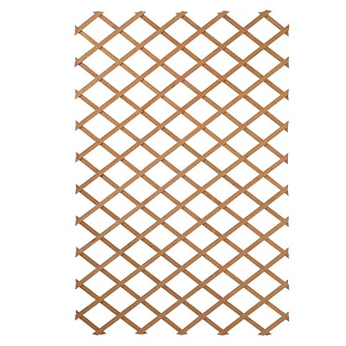 Jardinage Tenax Treillis extensible en PVC pour support mural de fleurs