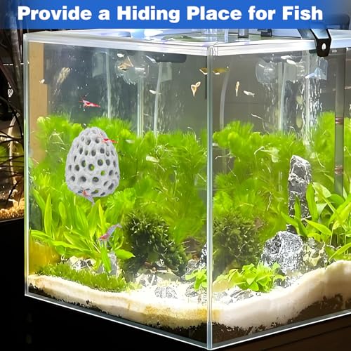 Image of HINGTAI Shrimp Dome Hide Betta Habitat Fish Tank Tunnel with Suction Cup Aquarium Fish Cave Hideout Ornament Accessories for Shrimp Guppy Hiding Resting White