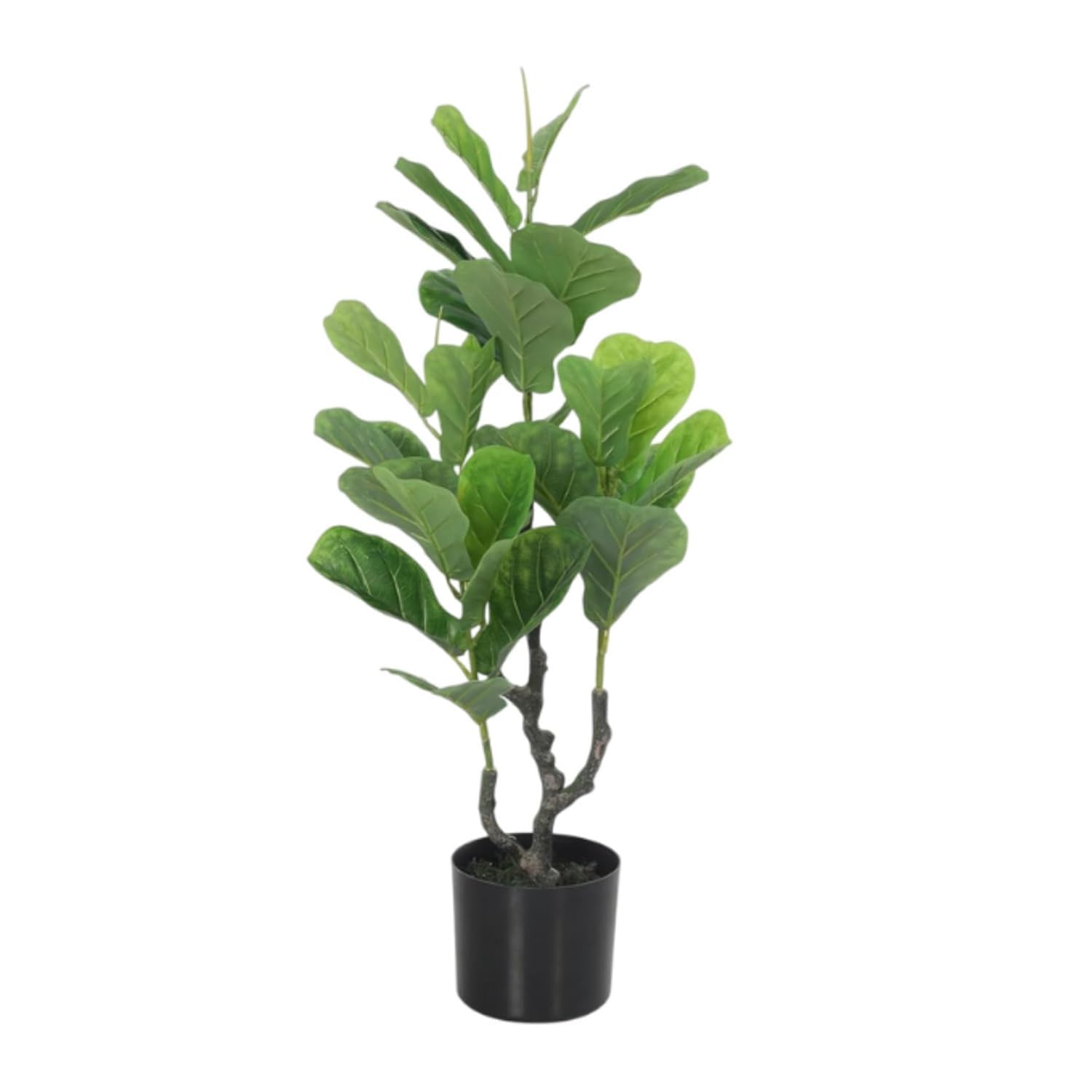 Artificial Fiddle Leaf Fig Tree 90 cm | Decorative Faux Green Plant with Black Pot for Home, Office & Indoor Outdoor Decor