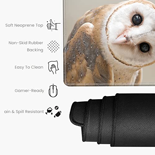 Image of Large Mouse Pad 24x12 inch Desk Mats on Top of Desks Pad Gaming Mousepad Owl Long Extended Desk Protector Mat Big Laptop Mat for Wireless Mouse Non Slip Work Computer