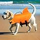 Schwimmweste Hai Hunde, Darryy Schöner Hunde Schwimmanzug, Blickfang Schwimmweste Hund Haifisch(Orange, L)
