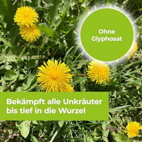 5L Grünbelagentferner Konzentrat Wege Kein Glyphosat Unkraut Unkrautvernichter E - Foto 7
