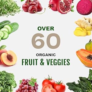 Vegan sport protein powder vanilla30g plant based protein velositol bcaas organic greens fruits probiotics tart cherry for post workout recovery inform sports certified keto 20 servings  urban country home decor