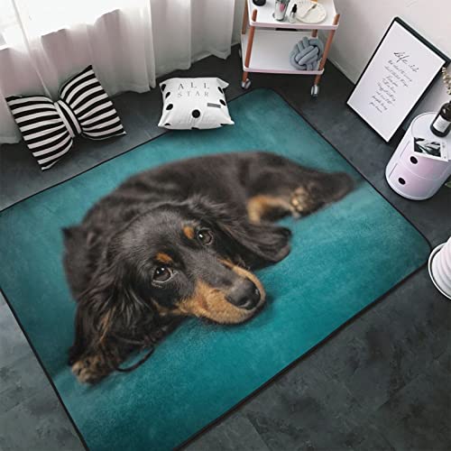 \t@[̏ł낮 _bNXth  J[ybg ` O}bg O O~ ėp h_j R h hL ӂƎG  DtlO g[Ή 􂦂 ~ߕt 100 × 150 cm