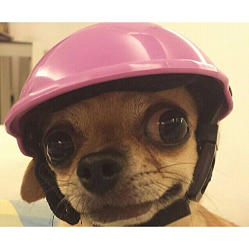 Adarl Cute Helmets Helm Hats Toys for Puppy Pet Dog Cat