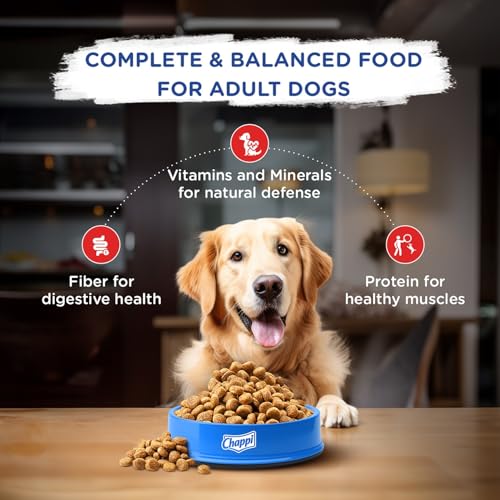 Image of Chappi Adult (1+ Years) Dry Dog Food, Chicken & Rice, 7 kg, Complete and Balanced Food for Adult Dogs (Pack of 2)