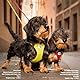 Vest Harness curli Clasp Air-Mesh Moss XS