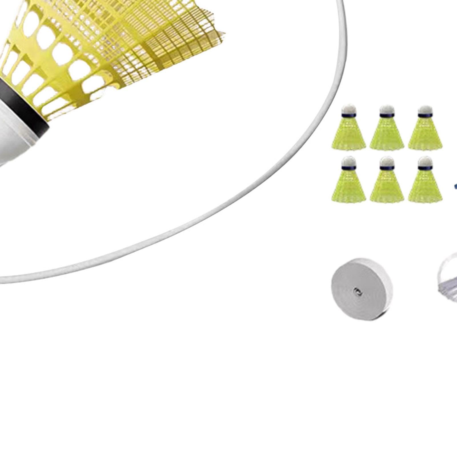 Indoor Badminton Trainer Self Practice Trainer Professional with Shuttlecock Badminton Training for Exercise Activity Home, Double Racket