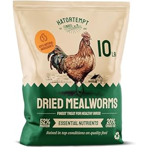 Bulk Dried Mealworms 10 lbs – Premium Organic Non-GMO Dried Mealworms for Chickens – High Protein Chicken Feed Meal Worms for Wild Birds & Chicken Treats for Laying Hens