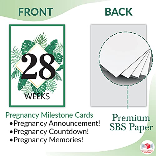 Image of Wobbox Pregnancy Milestone Cards, Tropical Theme, Pregnancy Journey, Weeks Growth Milestone Cards, Pregnancy Gift Scrapbook Photo Keepsake - Set of 27 Pieces
