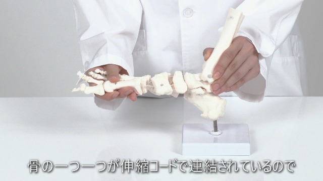 Amazon.co.jp: 【弊社独自の特殊素材でビヨーンと伸びる