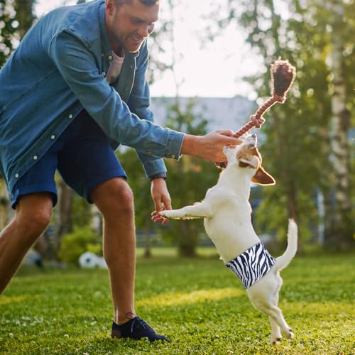 MICOOYO Waschbare Bauchbinden für Rüden | Wiederverwendbare Hundewindeln | Saugfähige Doggy Wraps mit verstellbarem Verschluss - Large (3er Pack, Wildes Afrika)
