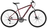 Diamondback 2012 Trace Pro Dual Sport Bike (Red, 22-Inch/X-Large)