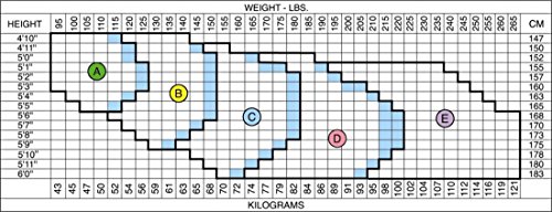 Spanx 008 All The Way - Medium Control Pantyhose Size B3