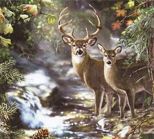 Set of 2 Individual Decoupag Paper Party Napkin FOREST, DEER, BUCK, DOE Watercolor Decor Luncheon Napkins for a Birthday holiday, Wedding, Cocktail Party