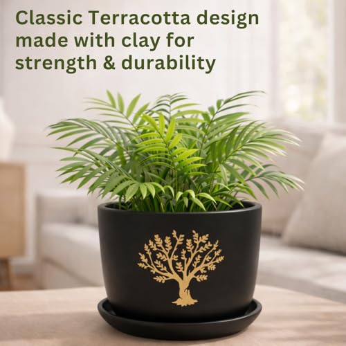 Image of Urban Upvan Terracotta Flower Pots for Garden, Dining Table & Home Decor | Elegant Planter for Living Room & Indoor Plants| Tree