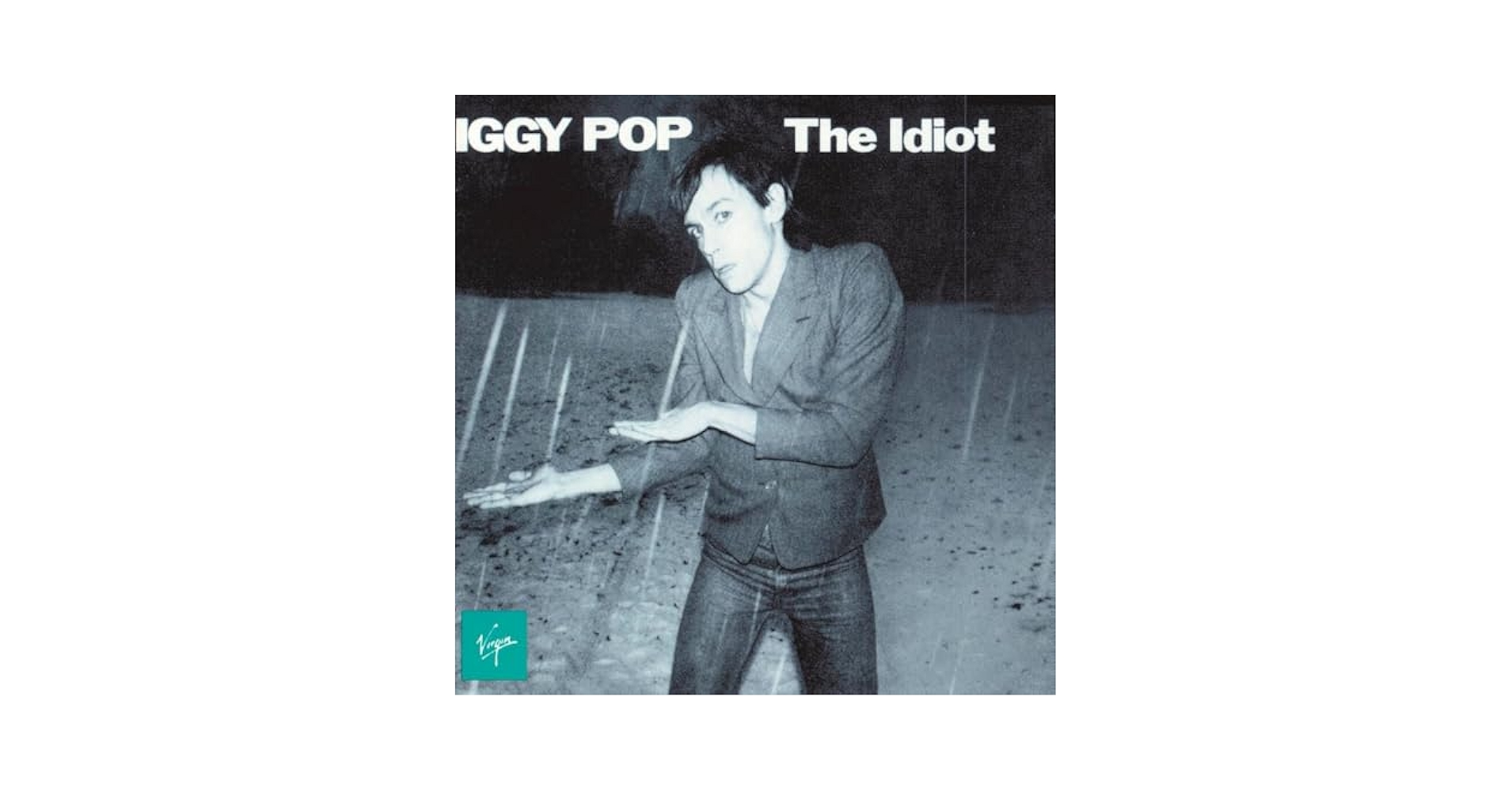 【中古LP】IGGY POP “The Idiot 1977” USオリジナル盤 Iggy Pop – The Idiot – Vinyl (LP, Album), 1977 [r6515153