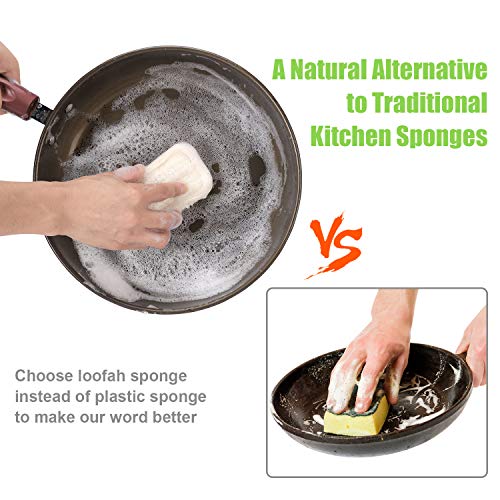 Image of Natural Loofah Kitchen Sponges, 20 PCS Natural Sponge for Dishes, Cleaning, 100% Biodegradable Compostable Vegetable, Eco Friendly Sponges, Non-Scratch, No Odor Scrubber