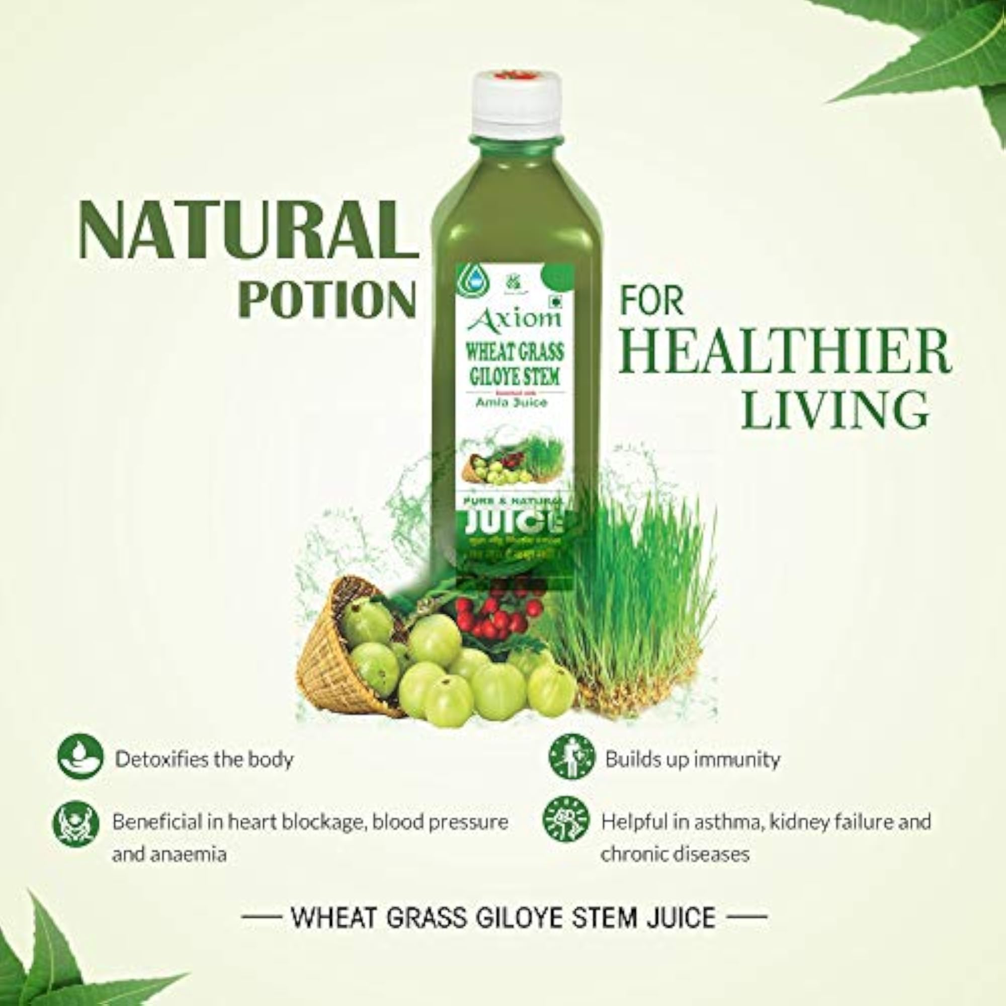 Jeevanras Wheat Grass Giloye Stem Juice, Herbal Detox Juice