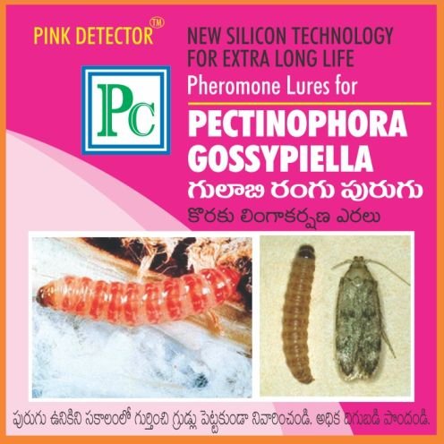 Pheromone Chemicals Pink Detector Replacement Lure Without Trap for Cotton Boll Worm (Pectinophora Gossypiella) -Qty: 500 Nos (B07CQNG865) Amazon Price History, Amazon Price Tracker