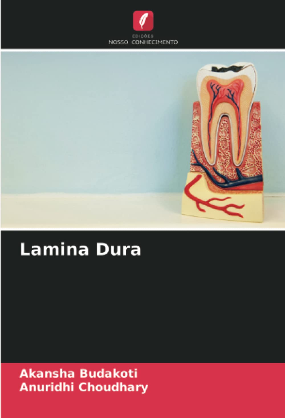 Lamina Dura