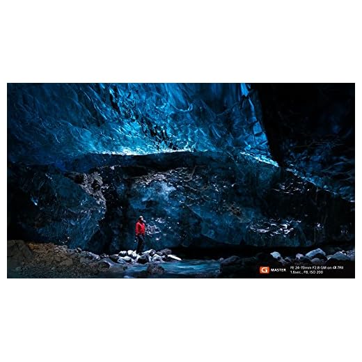 Sony FE 24-70mm F2.8 G Master Lens