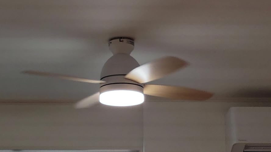 Amazon | VENTOTA シーリングファンライト リモコン付 省エネ 空気循環