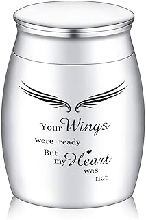 INBLUE Keepsake Urns for Human Ashes, Mini Urns for Human Ashes with Angel Halo and Wings Photo/ Text Engraving, Stainless Steel Small Urns for Ashes & Cremation Keepsakes for Ashes(F/s)