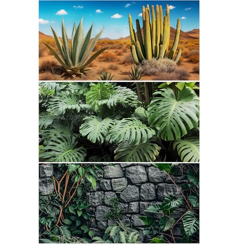 Helidrago 3 Pcs Reptile Background for Terrarium 40 Gallon Bearded Dragon Tank Background 36x18 inches Leopard Gecko Tank Accessories Desert Jungle Rocky Style Terrarium Supplies Dcor