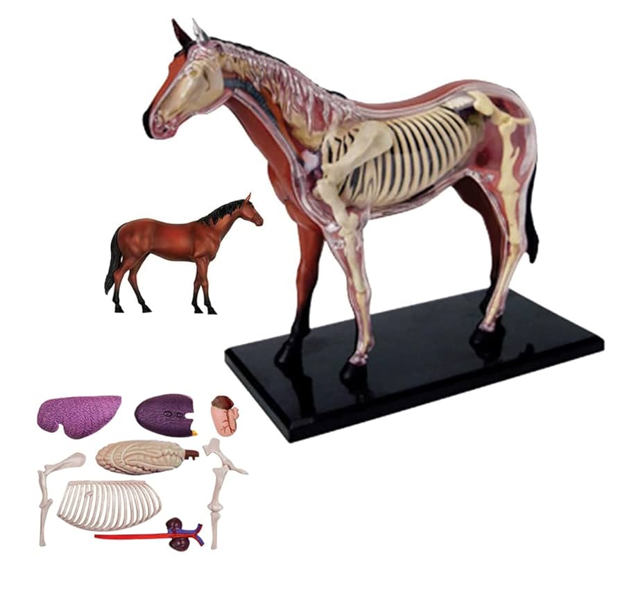 馬の骨 馬の骨 : 馬の骨 | HMV&BOOKS online - COCP-50870