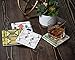 CoasterStone AS305 Absorbent Stone Coasters, Frank Lloyd Wright, 