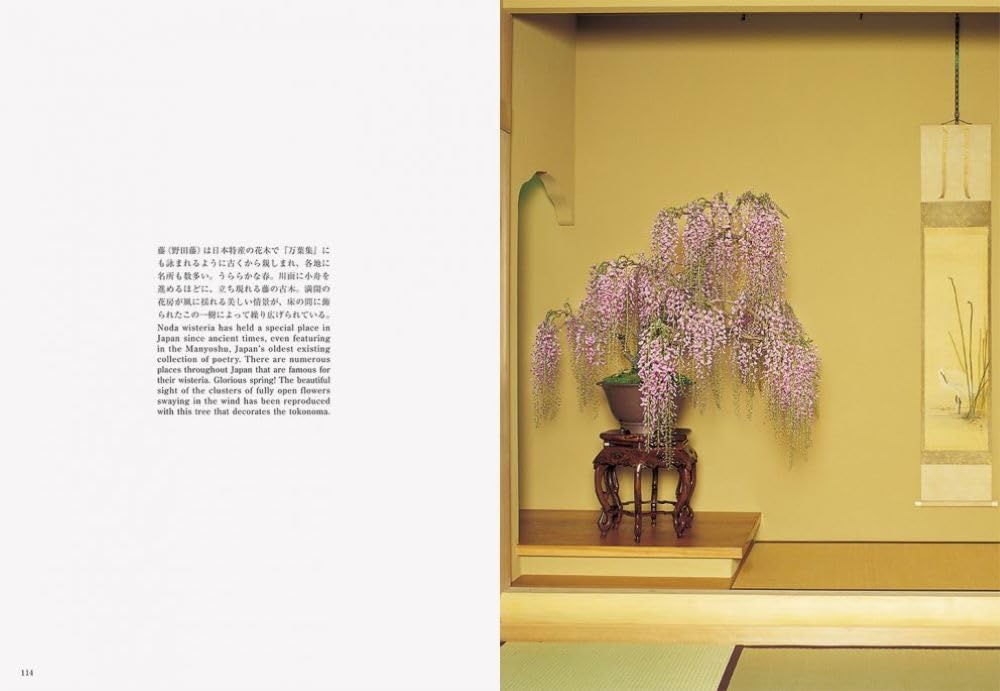 Bonsai: Reprint Edition