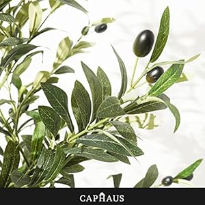 Caphaus 6 feet 72 inch artificial olive tree faux plant in pot faux olive branch and fruit fake potted topiary tree with dried moss for indoor home office modern housewarming decoration gift  urban country home decor