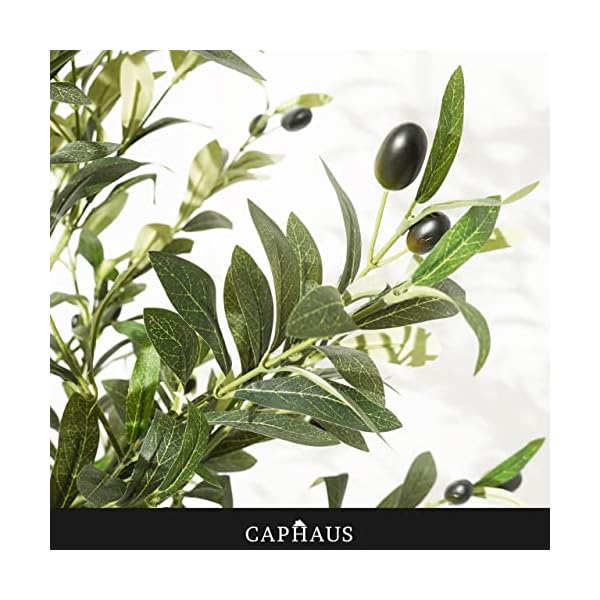 Caphaus 6 feet 72 inch artificial olive tree faux plant in pot faux olive branch and fruit fake potted topiary tree with dried moss for indoor home office modern housewarming decoration gift  urban country home decor