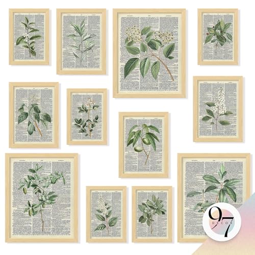 97 Decor Vintage Botanical Wall Art - Greenery Plant Posters For Room Aesthetic, Retro Green Plant Pictures Wall Decor, Vintage Botanical Prints For Home Bedroom Office Decorations (unframed)