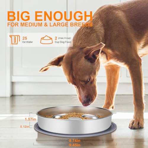 Antischlingnapf Hunde Edelstahl, ACEONE Anti Schling Napf Hund mit Silikonmatte, Metal Slow Feeder Hundenapf, Schlingnapf Hunde Groß mit Napfunterlage Hund (Silikonmatte)