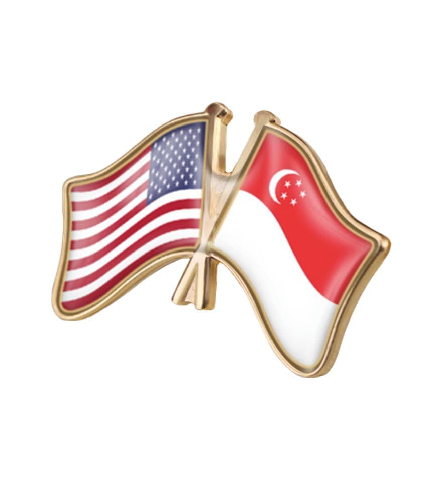 vmcoatdu USA American and Germany Deutschland Friendship Flag Cross Connection Pin Brooch Badge for Hat Cap Clothing Backpack Pin