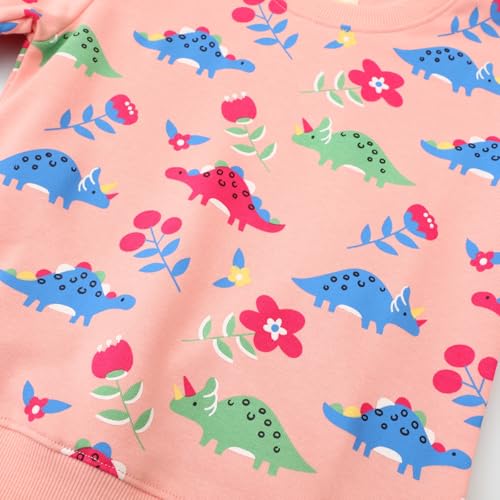 Image of Hongshilian Unisex Kids Cute Cartoon Cotton Sweater Shirt