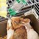 Zwenjuan Kleintiertränke,4 Stück 80 ml Wasserspender für Hamster und Mäuse,Hamster-Wasserflaschen,Hamster Trinkflasche,Hamster Zubehör für Meerschweinchen,Hasen Chinchilla,Ratten,Kleintiere