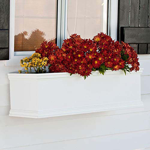 72 inch XL Laguna Cleat Mount Window Box