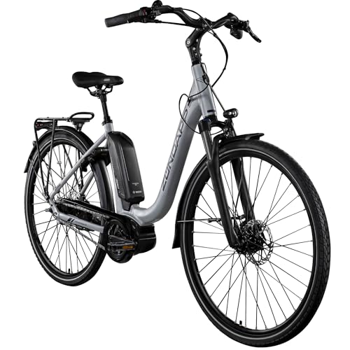 ZÜNDAPP X300 E Bike 28 Zoll Damen 155-180 cm Elektrofahrrad mit Fahrrad Mittelmotor und 7 Gang Nabenschaltung Rücktritt eBike tiefer Einstieg Nexus (Silber/lila, 51 cm)