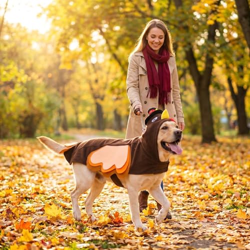 Disfraz de Pavo para Perro 4XL miniatura 2