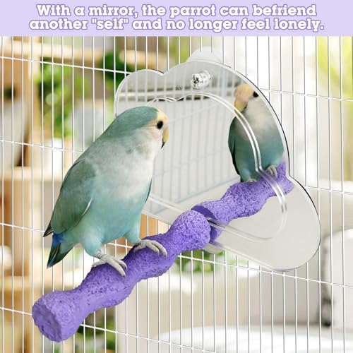 Image of PINVNBY 2 PCS Bird Mirror with Perch Resin Parakeet Perches Hanging Parrot Toys Interactive Bird Cage Accessories for Cockatiel Conure Lovebird Finch (Purple)