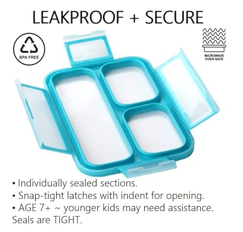 Kinsho 31-WBS2-BVSV Mini Bento-Box Lunch And Snack Boxes Set Of 2 thumb #4