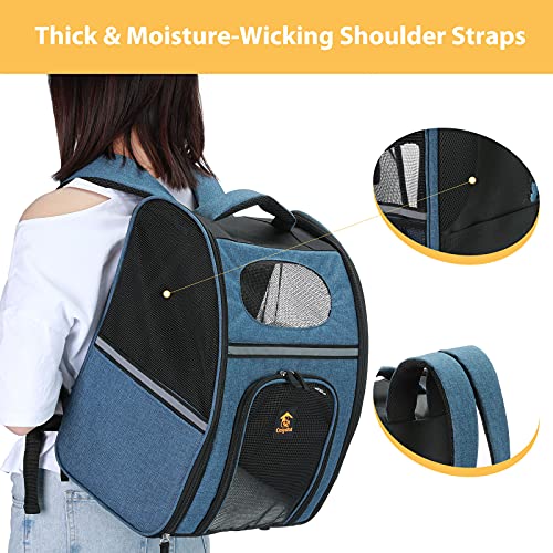 Cosydot Small Pet Backpacck Carrier for Baby Dog Cat Bird Bunny, 600D Solid Polyester, Max 15lb, with Full Set… - Image 4