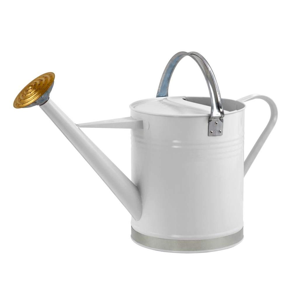 Ambassador Garden Metal Galvanised Plant Flower Watering Can 2 Gallon/9L - CREAM